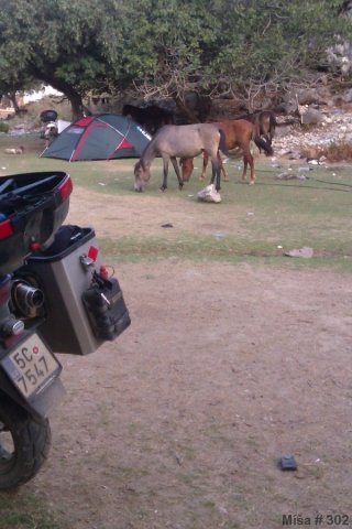 Albánií křížem krážem